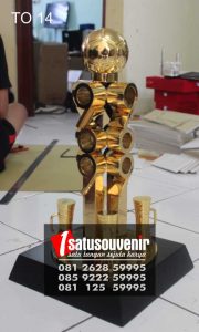piala olahraga TO14