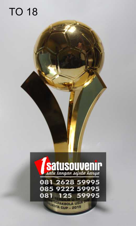 piala olahraga TO18 piala walikota cup