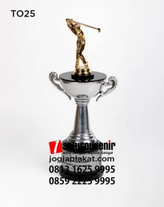 Piala Olahraga Gold APCNGI
