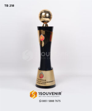 Piala Bergilir Basketball Bayan Resources