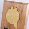 DETAIL-PK276 Plakat Kayu WSO Firefighters Award 2022