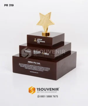 Plakat Resin ASEAN Risk Awards