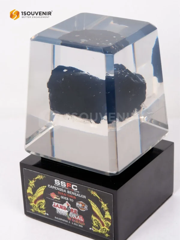 DETAIL-PR321 Plakat Resin Jambore Nasional Borneo