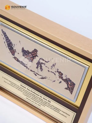 Plakat Frame Indonesian Pediatric...