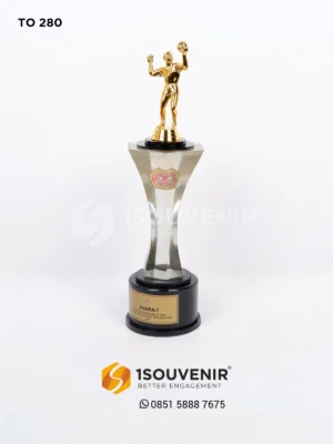 Piala Open Turnamen Bola Voli Kab....